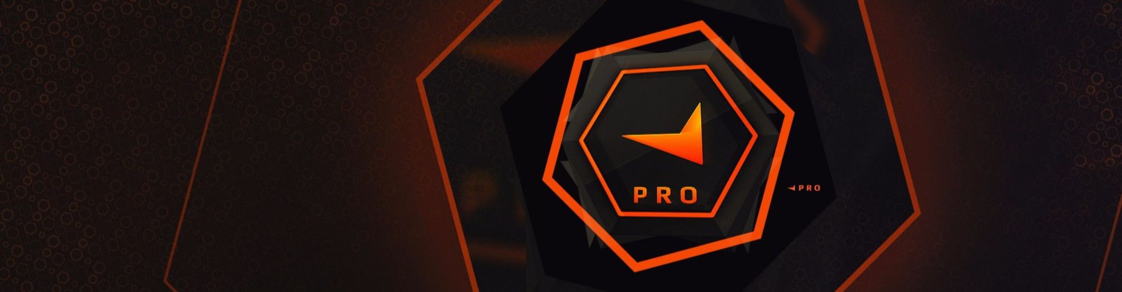 Faceit banner for @fanciful