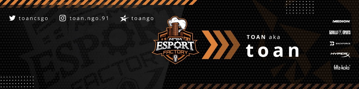 Faceit banner for @toan