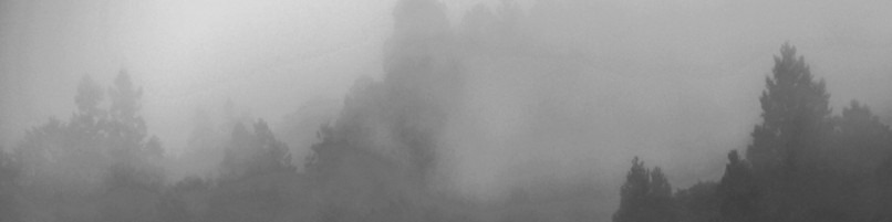 Faceit banner for @presently